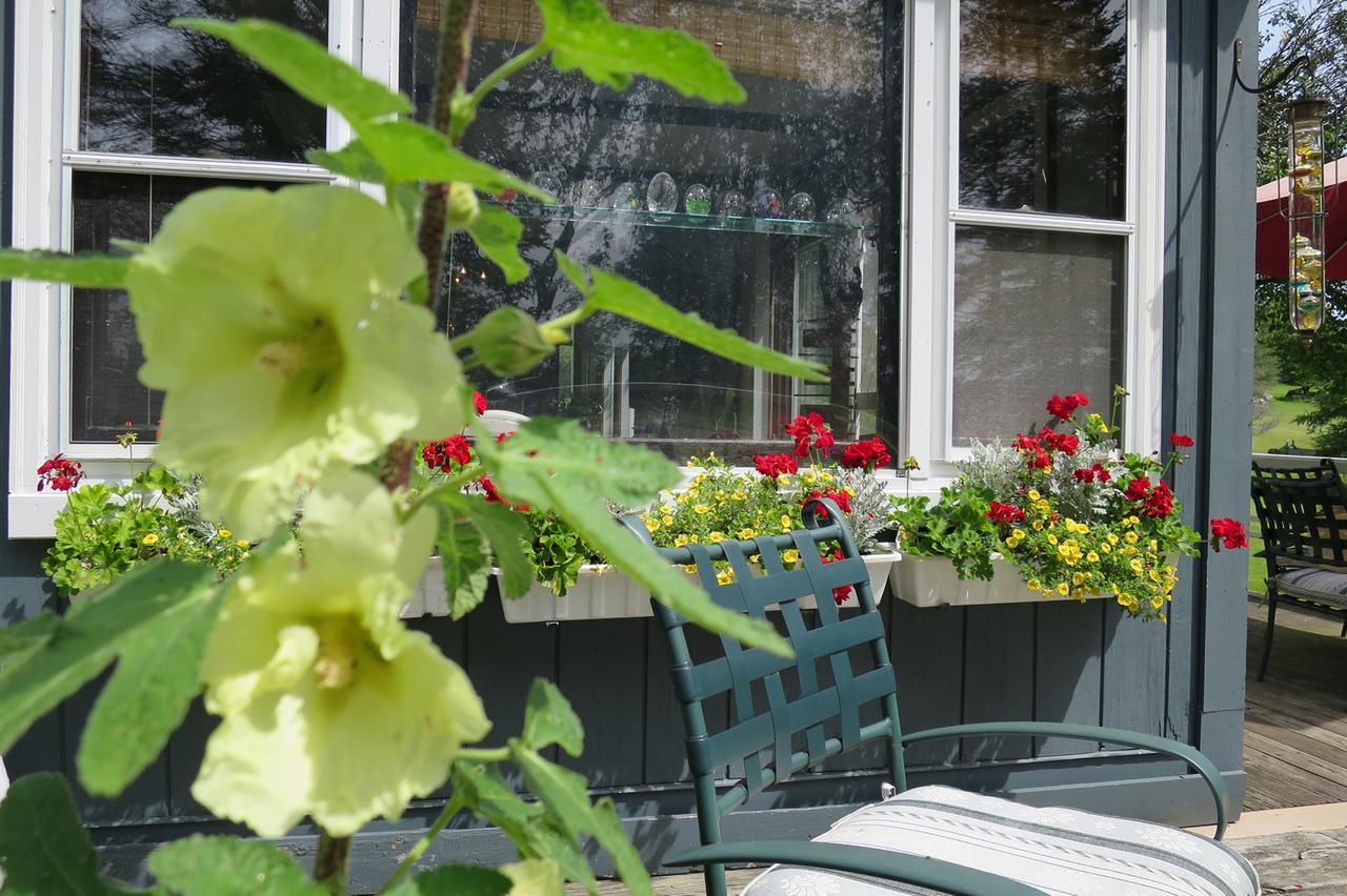 Firefly Bed & Breakfast Lincoln ภายนอก รูปภาพ