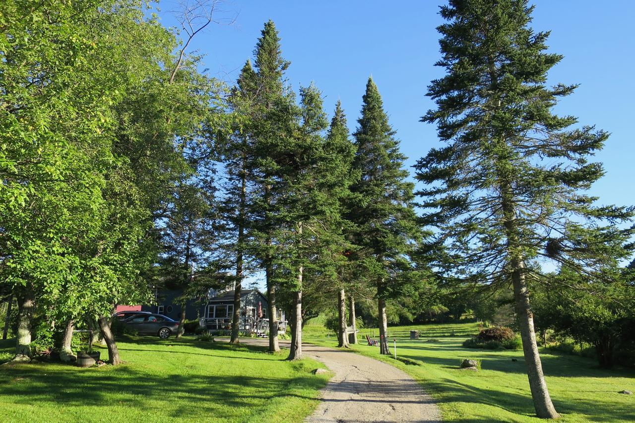 Firefly Bed & Breakfast Lincoln ภายนอก รูปภาพ
